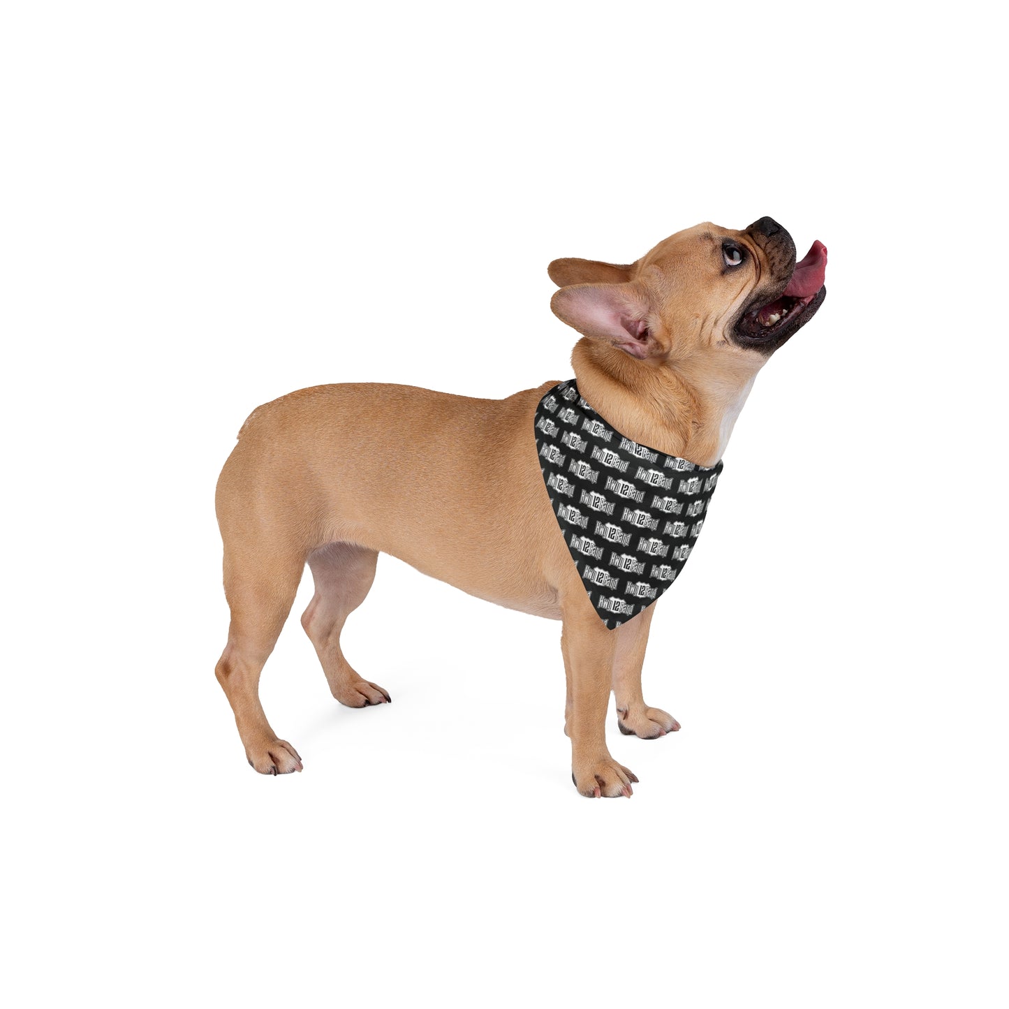 Hwy 12 Band Pet Bandana